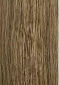 Clip-In Extensions - Enchanted Crownlight