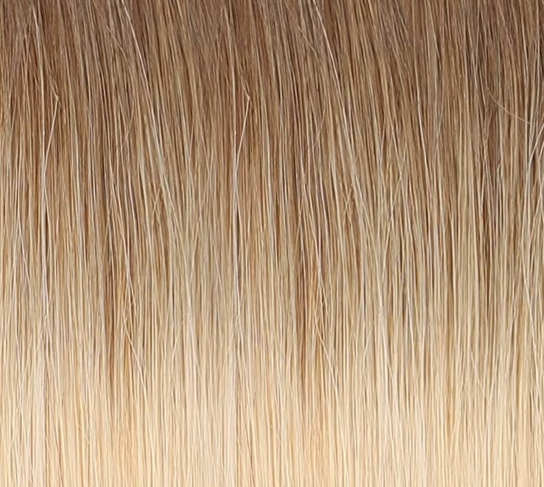 Clip-In Extensions - Royal Oak & Gold